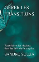 Gérer Les Transitions: Potentialiser les résultats dans les défis de l'entreprise