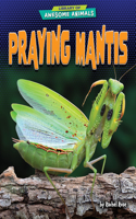 Praying Mantis: (Library of Awesome Animals)