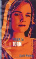 Torn