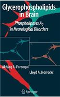 Glycerophospholipids in the Brain
