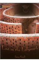 Lost in the Labyrinth