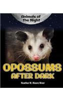 Opossums After Dark