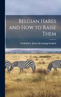 Belgian Hares and how to Raise Them