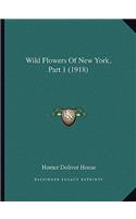 Wild Flowers Of New York, Part 1 (1918)