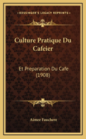 Culture Pratique Du Cafeier