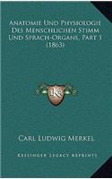 Anatomie Und Physiologie Des Menschlichen Stimm Und Sprach-Organs, Part 1 (1863)