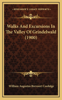 Walks And Excursions In The Valley Of Grindelwald (1900)