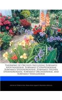 Taxonomy of Orchids Including Subfamily Apostasioideae, Subfamily Cypripedioideae Subfamily Epidendroideae, Subfamily Higher Epidendroideae, Subfamily Orchidoideae, and Subfamily Vanilloideae: (English)