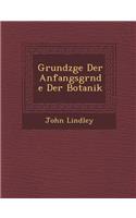 Grundz GE Der Anfangsgr Nde Der Botanik