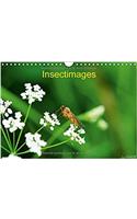 Insectimages 2017