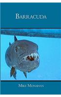 Barracuda