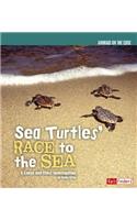 Sea Turtles' Race to the Sea