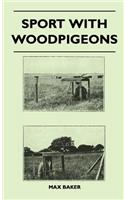Sport with Woodpigeons