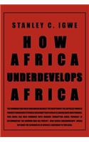 How Africa Underdevelops Africa