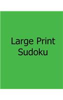 Large Print Sudoku: Moderate: Enjoyable, Large Grid Puzzles