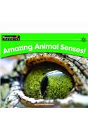 Amazing Animal Senses! Leveled Text