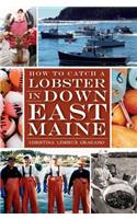 How to Catch a Lobster in Down East Maine