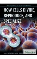 How Cells Divide, Reproduce, and Specialize
