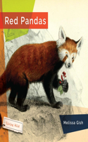 Red Pandas: (Living Wild)