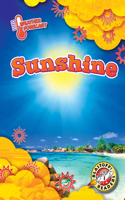 Sunshine: (Weather Forecast)