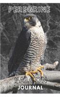 Peregrine falcon journal &Notebook 6