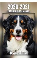 2020-2021 Calendario Semanal Boyero de Berna