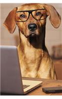 Smart Dog Notebook