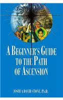 Beginner's Guide to the Path of Ascension