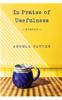 In Praise of Usefulness