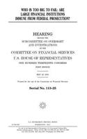 Who is too big to fail: are large financial institutions immune from federal prosecution?