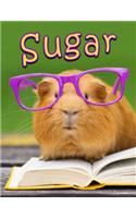 Sugar: Personalized Book with Name, Journal, Notebook, Diary, 105 Lined Pages, 8 1/2