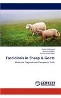 Fasciolosis in Sheep & Goats