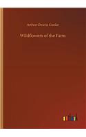 Wildflowers of the Farm