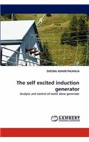 self excited induction generator