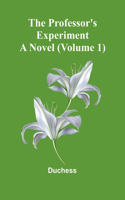 professor's experiment: A novel (Volume 1)