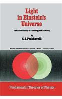 Light in Einstein's Universe