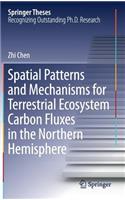 Spatial Patterns and Mechanisms for Terrestrial Ecosystem Carbon Fluxes in the Northern Hemisphere