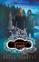 A Sanctuary of Foes