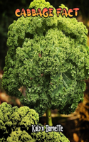 Cabbage Fact: CABBAGE fact for girl age 1-10 CABBAGE fact for boy age 1-10 facts about all about CABBAGE