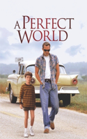 Perfect World