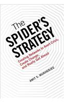 Spider's Strategy