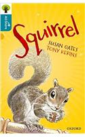 Oxford Reading Tree All Stars: Oxford Level 9 Squirrel