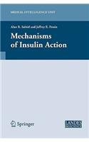 Mechanisms of Insulin Action