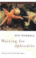 Waiting for Aphrodite