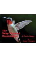 Ruby-throated Hummingbird