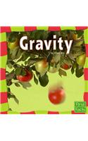 Gravity