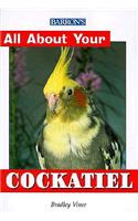 All about Your Cockatiel