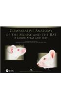 Comparative Anatomy of the Mouse and the Rat