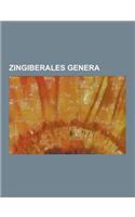 Zingiberales Genera: Alpinia, Calathea, Canna (Plant), Cautleya, Costus, Ctenanthe, Curcuma, Elettaria, Ensete, Etlingera, Hedychium, Helic