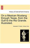 On a Mexican Mustang through Texas, from the Gulf to the Rio Grande. Illustrated.